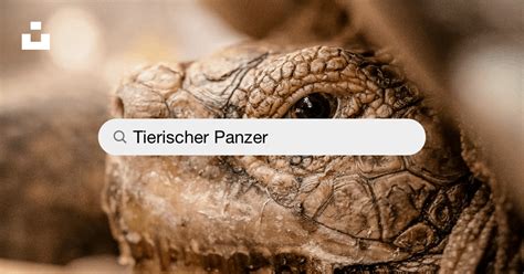 kostenlose tier pornos|Tierischer Porno.